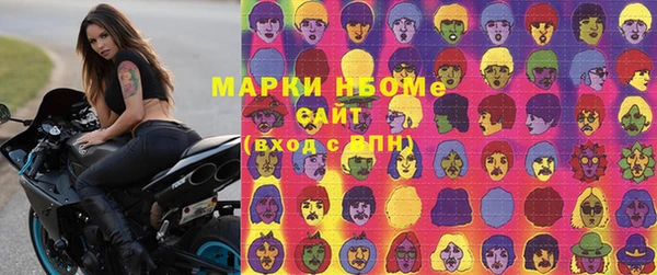 шишки Аркадак