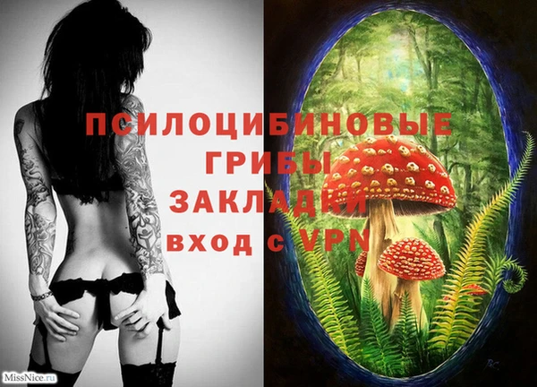 каннабис Арсеньев