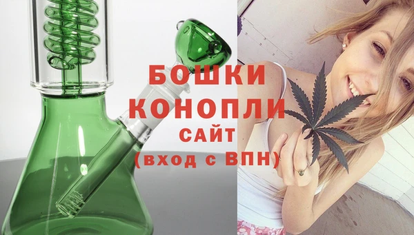 шишки Аркадак