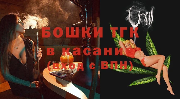 шишки Аркадак