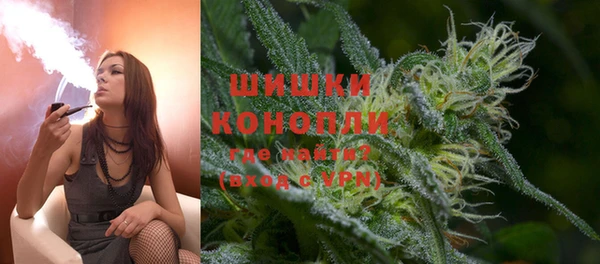 шишки Аркадак