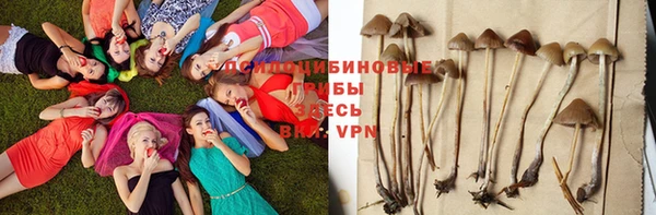 а пвп мука Армянск