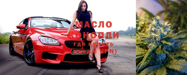 шишки Аркадак
