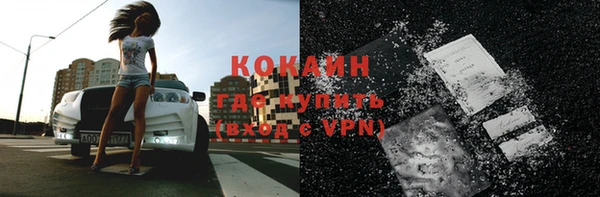 шишки Аркадак