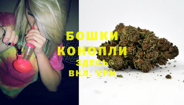 шишки Аркадак